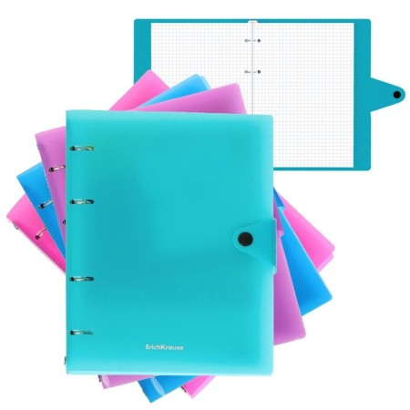 A notebook on the rings A5, 80 sheets in the Erichkrause "Glance Vivid", plastic cover, offset block, whiteness 100%, mix