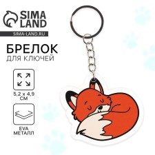 Key keychain 