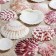 A set of shells, "piesidatus scallop", size 4 - 6 cm, 100 g