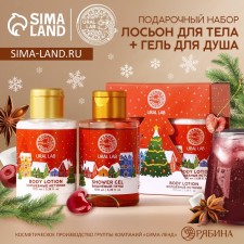 New Year's gift set: shower gel and body lotion, 2x100 ml, New Year