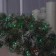Garland "thread" 20 m, IP44, dark thread, 200 LED, Green glow, 8 modes, 220 V