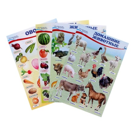 A set of posters "Home, forest animals, fruits and berries, vegetables" with a task, A4