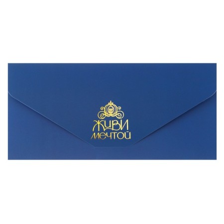 Envelope for money, soft. Tach, 19x9 cm "Live Dream", Princess-5