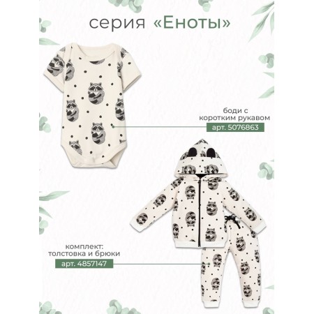 Set: jumper and pants crumb I am "raccoons", height 62-68 cm-18