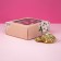 The box is self-assembly, the lid is, with the window, "let the spring always be in your heart" 14.5 x 14