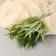 Bouquet "Fern Forest" 30 cm, mix