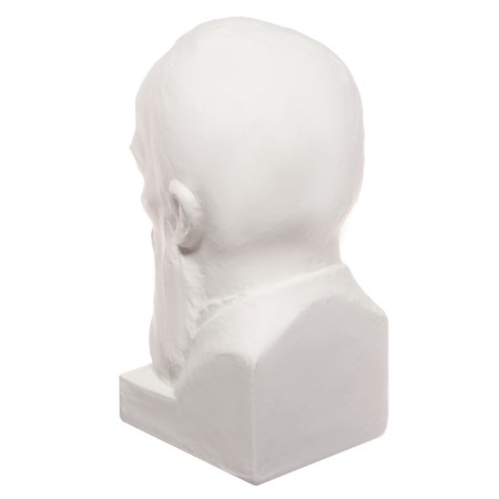 Gypsum figure famous people: Bust of Dostoevsky 13*8.5*10.5 10-194-4