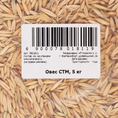 Oats seeds, my choice, 5 kg-3