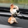 Dog on a car panel shocking his head, a mongrel