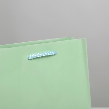 Gift package laminated, packaging, "green", MS 18 x 23 x 8 cm-3