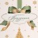 Package for a bottle of "Happy holiday", 13 x 36 x 10 cm, New Year