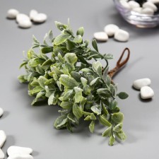 Artificial succulent for creating the Florarium 