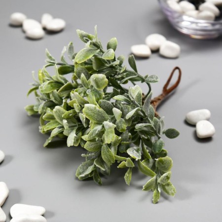Artificial succulent for creating the Florarium "Crassula" set of 6 pcs 15 cm