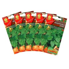 Melissa seeds 