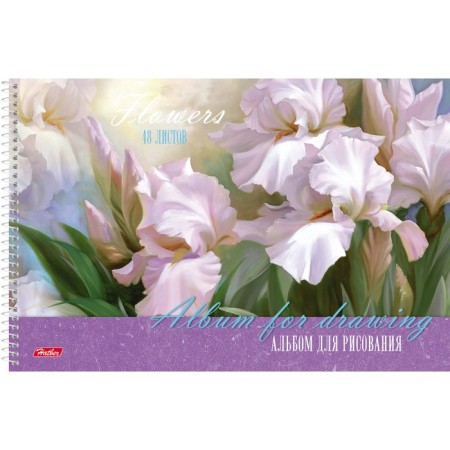 Album for drawing A4, 48 sheets on the range of "Assorted", cover Cover Cardboard, block 100 g/m2, perforation for separation, mix-2