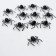 Spider joke, set 12