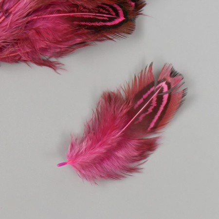 Decorative pheasant feather "Rice. Pink" set 20 pcs h = 5-7 cm-2
