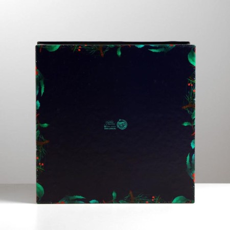 Gift box "New Year's botanist", 28 x 28 x 15 cm, New Year-4