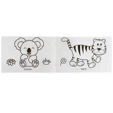 Coloring "Zoo", 8 pages-3