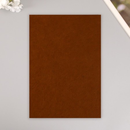 A set of hard felt "Astra" (3 pcs) brown, 1 mm, 160 gr, 20x30 cm