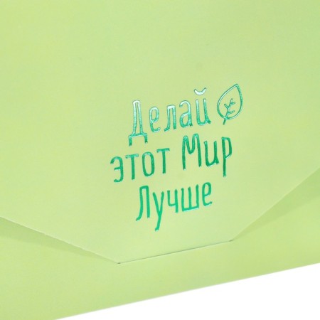 The envelope for the money "Make this world better!" Soft's software, embossing, green color, 9x19 cm-4