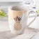 Porcelain shade Porcelain "Pineapple", 350 ml