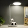 Table lamp "Bear with the ball" LED black and white 14x15x48 cm Risalux
