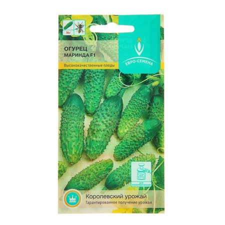 Seeds of the cucumber "Marinda" F1, parthenocarpic, 10 pcs.-2