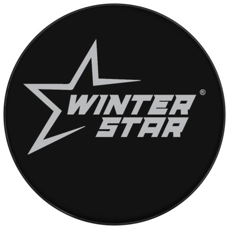 Шайба хоккейная Winter Star, взрослая, d=7,6 см-4