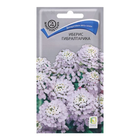 Flower seeds Iberis "Gibraltarika", 0.1 g.
