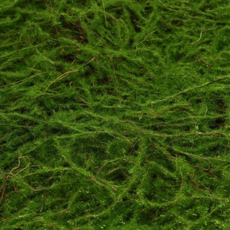 Decorative panel, 90 × 40 cm, "Paporotnik", Greengo-9