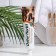 Set Dabur Herb’l Cloves: Toothpaste, 150 g + toothbrush