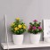 Bonsai in the pot "Feasted flower garden" 9x21 cm, mix