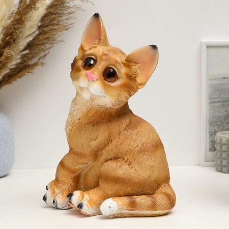 Pig a piggy bank "Counting cat" 27x20cm