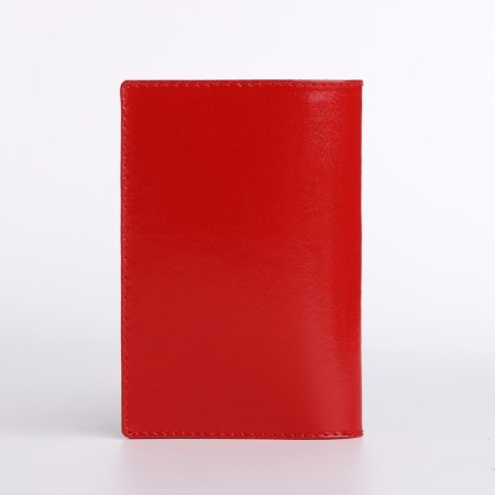 Cover for passport, red color-1