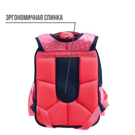 Frame backpack 38 x 30 x 17 cm, ergonomic back, Calligrata Probag "Cat" (school)-2
