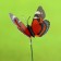 Plug "butterfly Delfius 25cm, set 6pcs, mix