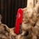Swiss knife "Master K" 8B1, red