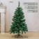 Blue spruce 120 cm, D of the lower tier 70 cm, 238 branches