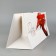 A package for a bottle horizontal "glass of wine", 36 × 10 × 13 cm