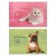Album for drawing A4, 20 sheets "Dog and cat", cardboard cover, block 100 g/m2, mix