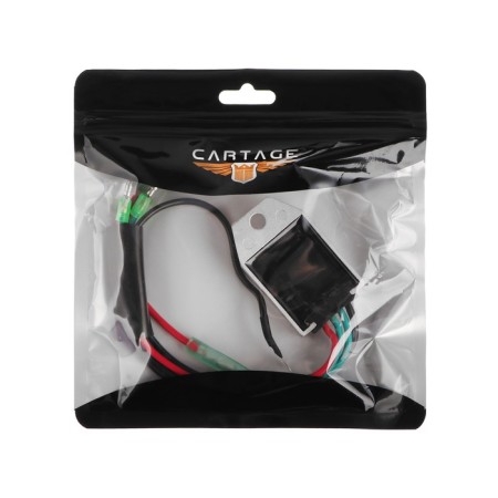 Voltage regulator for a 2-stroke suspension motor 15 hp.-1