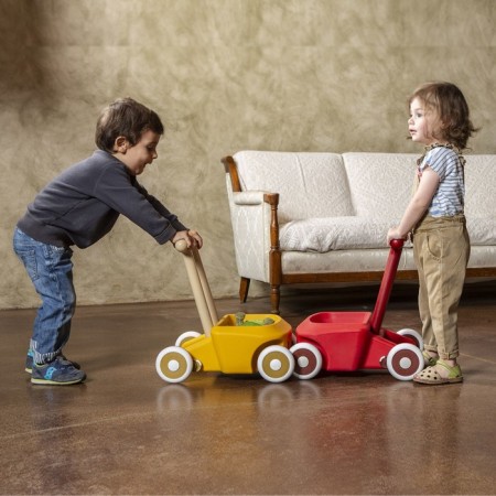 Helboenas Robertrike Roberto, yellow-1