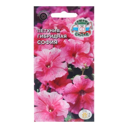 Flower seeds Petunia "Sofia", 10 pcs