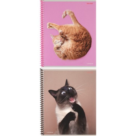 Notebook of 48 sheets in the cage on the crest "Such funny cats", cover covering cardboard, mix-1