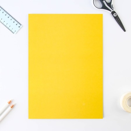 Cardboard of color A4, 8 sheets 8 colors non -unilateral “September 1: Bear” in the folder density 180 g/m-4