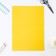 Cardboard of color A4, 8 sheets 8 colors non -unilateral “September 1: Bear” in the folder density 180 g/m