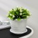 Pot with the pallet "Viola", 2 l, the color is white