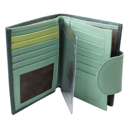 Cover for auto documents on the button, green color-1