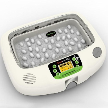 Incubator for reptiles, for 90 eggs, automatic coup, 120 V, rcom